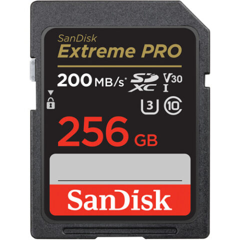256GB SD Card