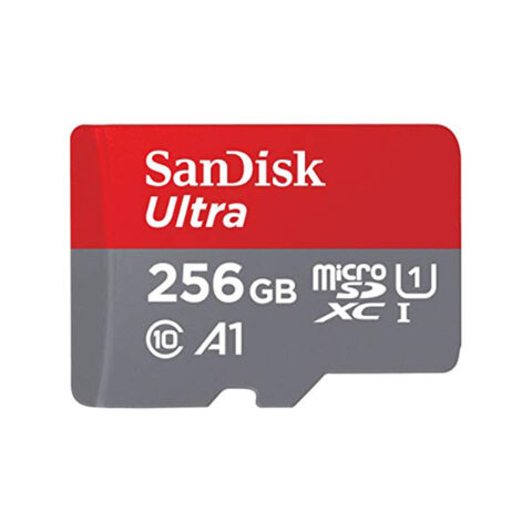 256GB SD Card