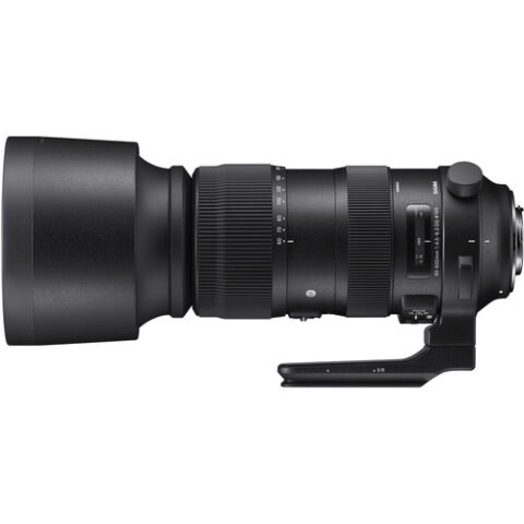 Sigma For Canon 60-600mm