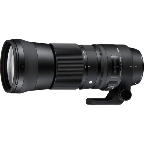 Sigma 150-600mm F/5-6.3 Lens For Nikon F