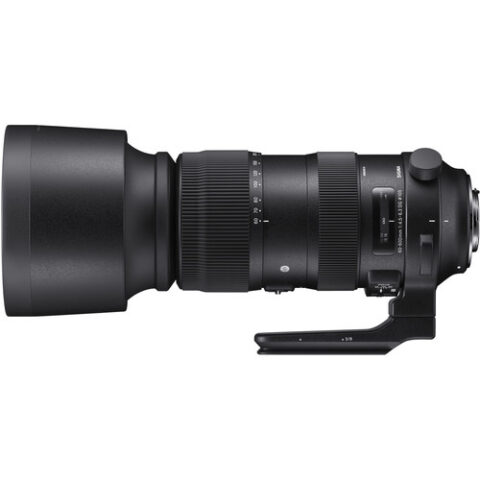 Sigma 60-600mm F/4.5-6.3 DG OS HSM Sports Lens (Nikon F)