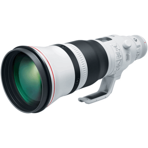 Canon EF 600mm F/4L IS III USM Lens